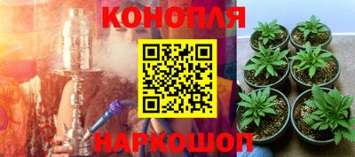 тгк Краснокаменск