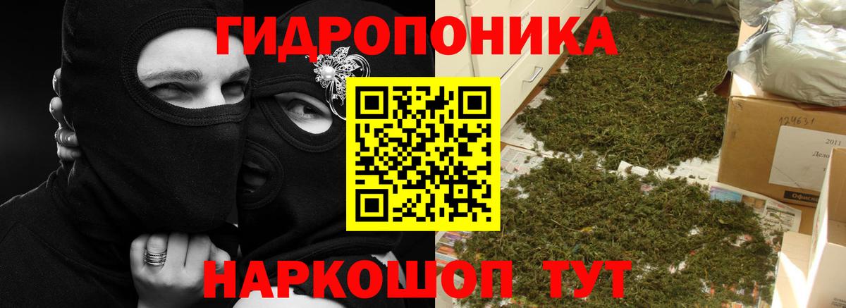 Канабис ГИДРОПОН Фрязино